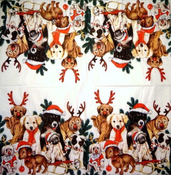 HUN-775 Dogs - 3-ply - Ihr